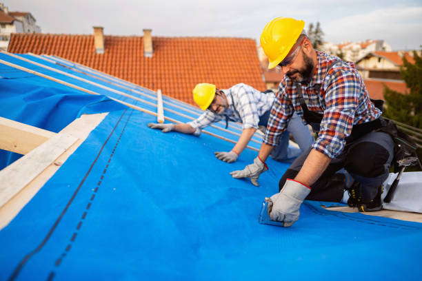 Best Roof Gutter Cleaning  in Peach Lake, NY